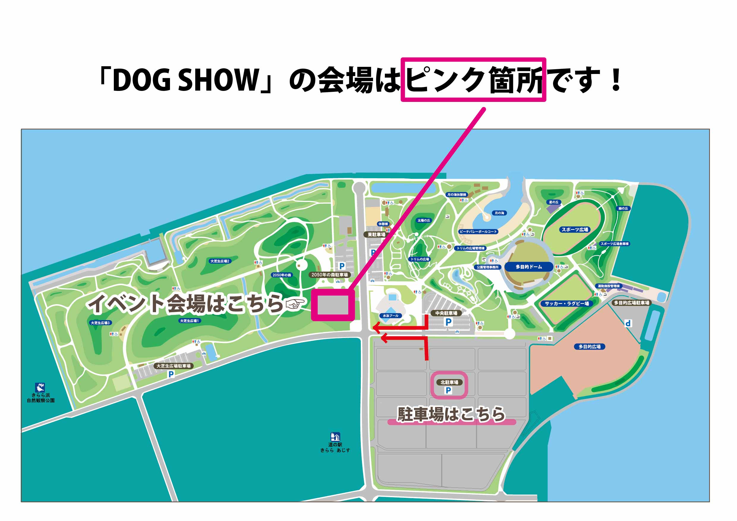 DOGSHOW-01